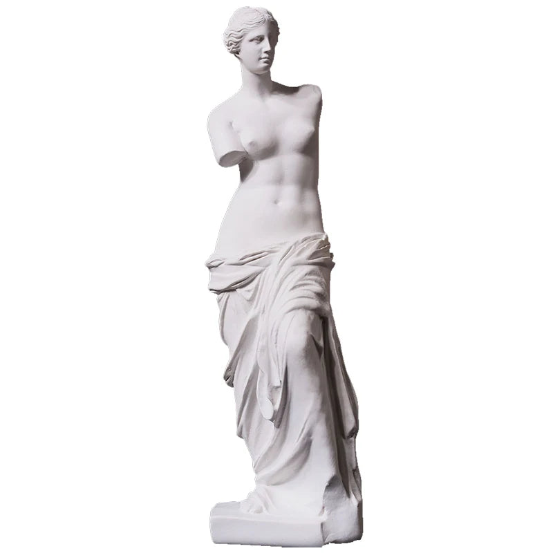 Broken Arm Venus Statue Artwork