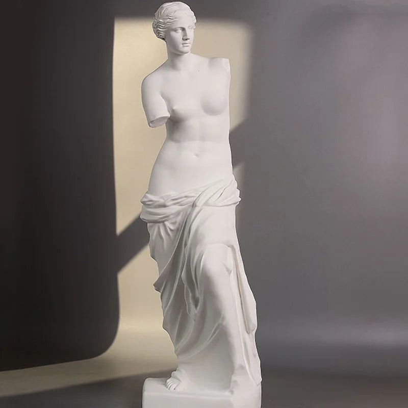 Broken Arm Venus Statue Artwork