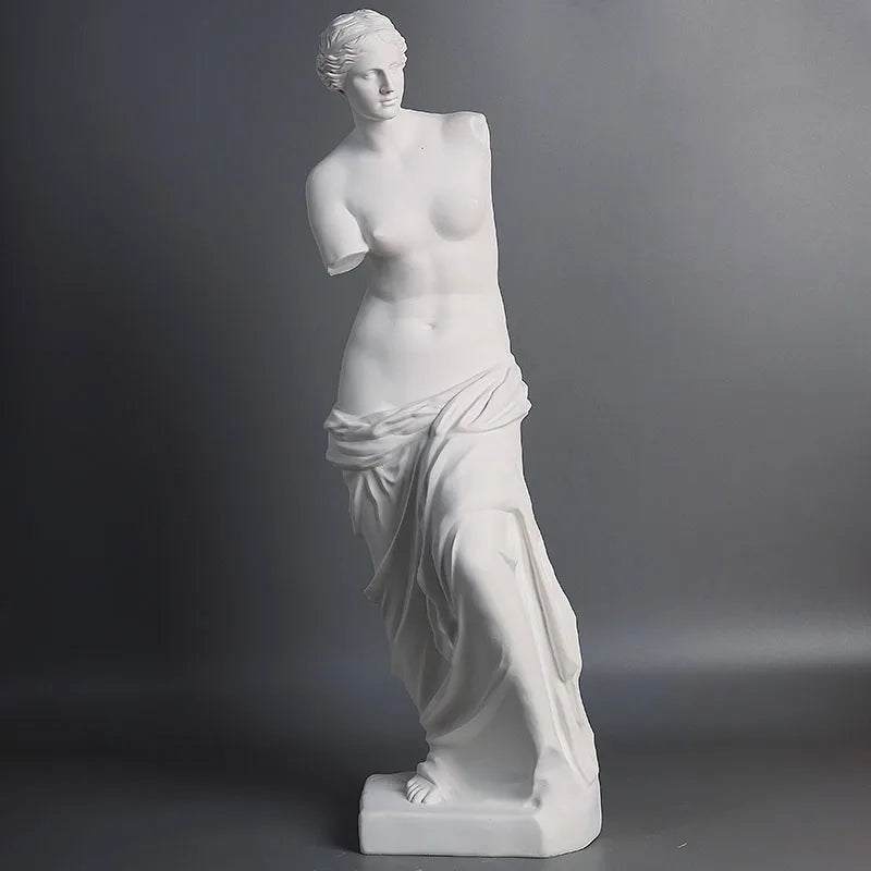 Broken Arm Venus Statue Artwork