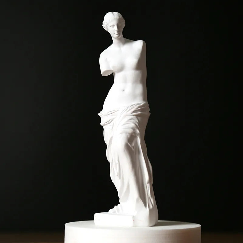 Broken Arm Venus Statue Artwork