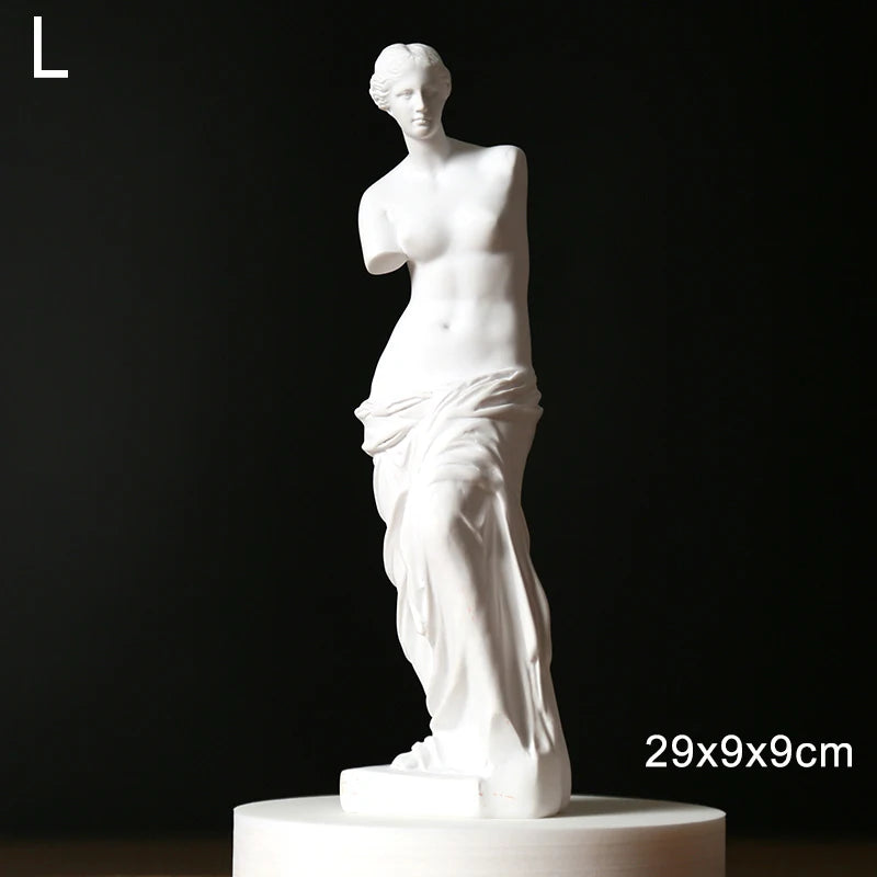 Broken Arm Venus Statue Artwork